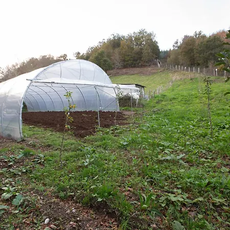 Refuxio De Lamas 게스트하우스 Becerreá