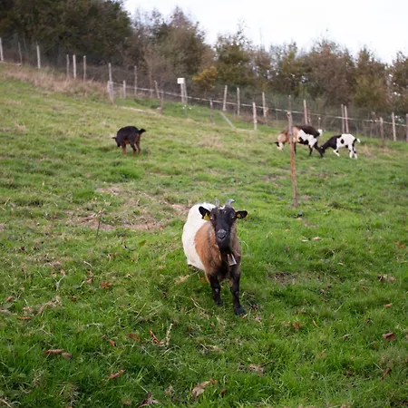 게스트하우스 Refuxio De Lamas