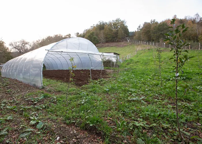 Refuxio De Lamas ゲストハウス Becerreá