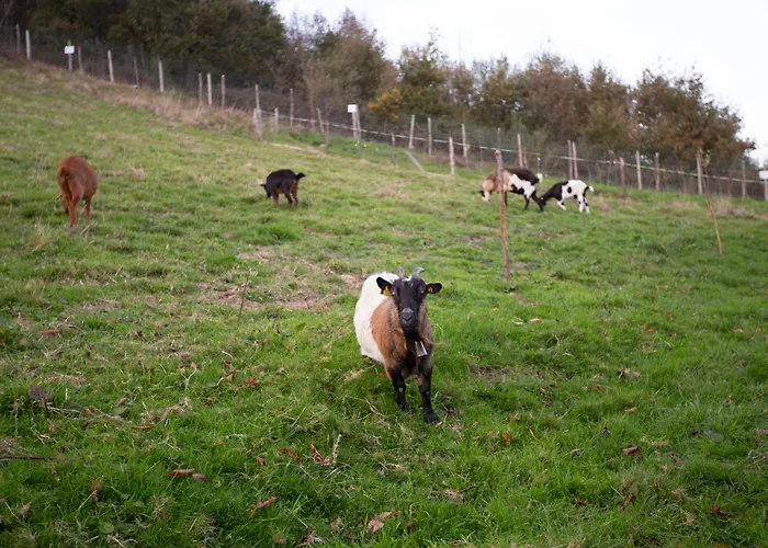 ゲストハウス Refuxio De Lamas